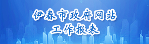 伊春市政府网站工作报表